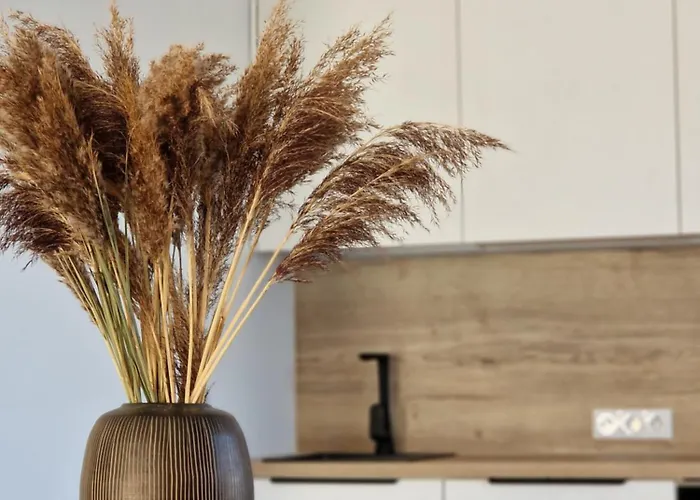 Apartment Amber Sea - 2 Palanga